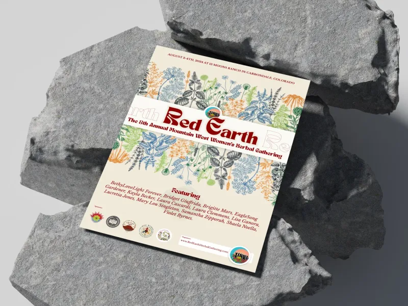 Branding portfolio work by DMS