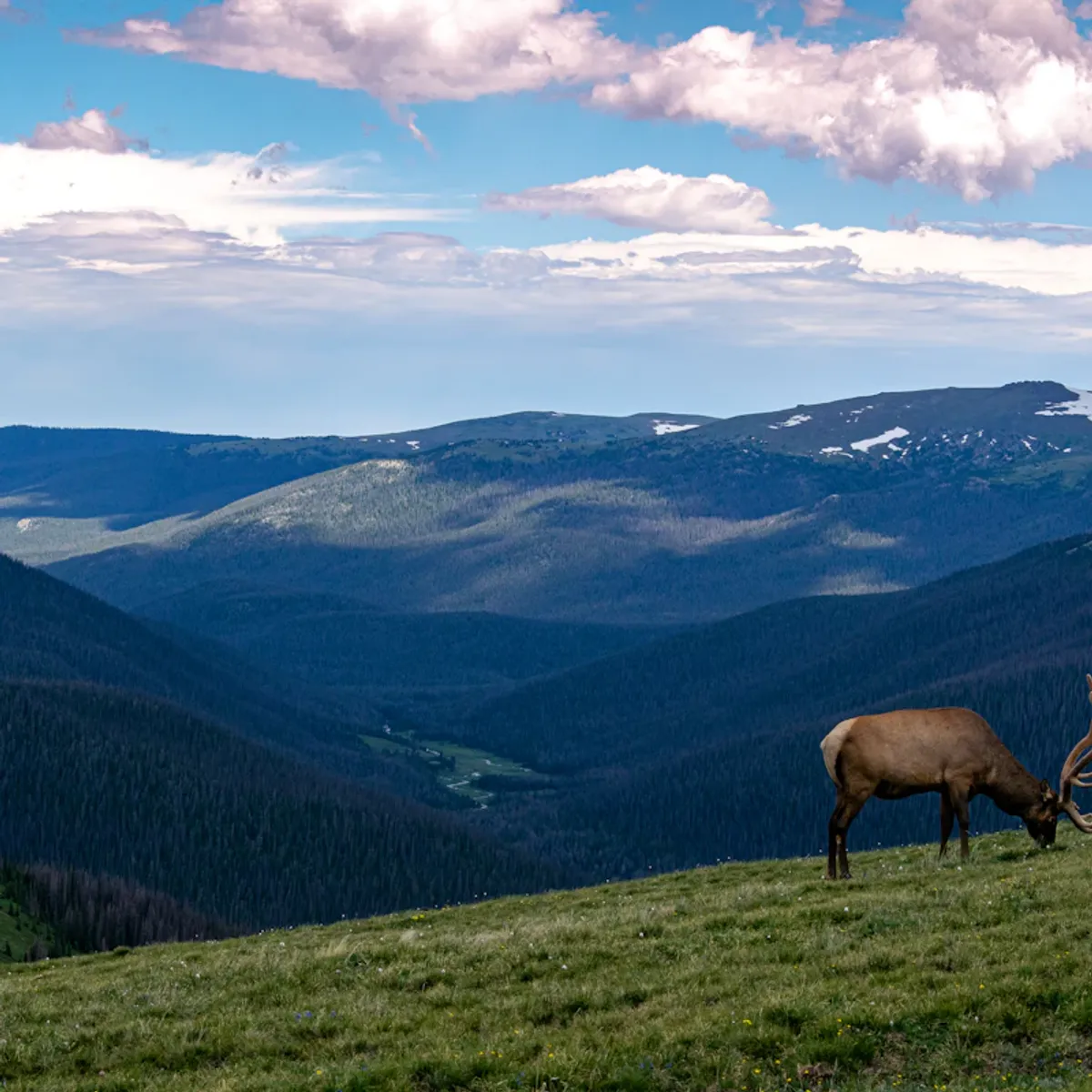 Digital marketing expertise in Arvada