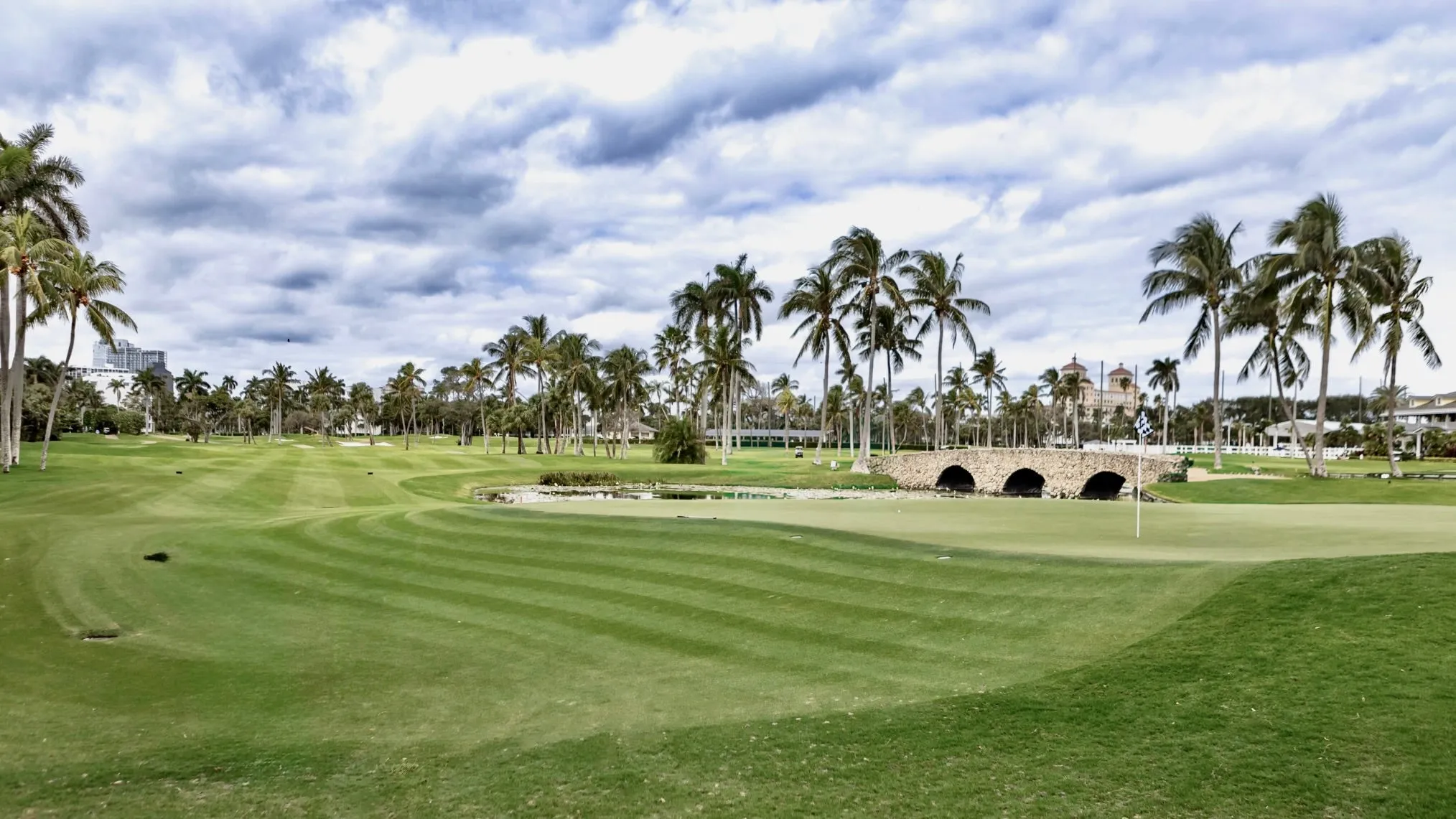 JondoSport full product collection displayed together showing the range of styles and frame colors available