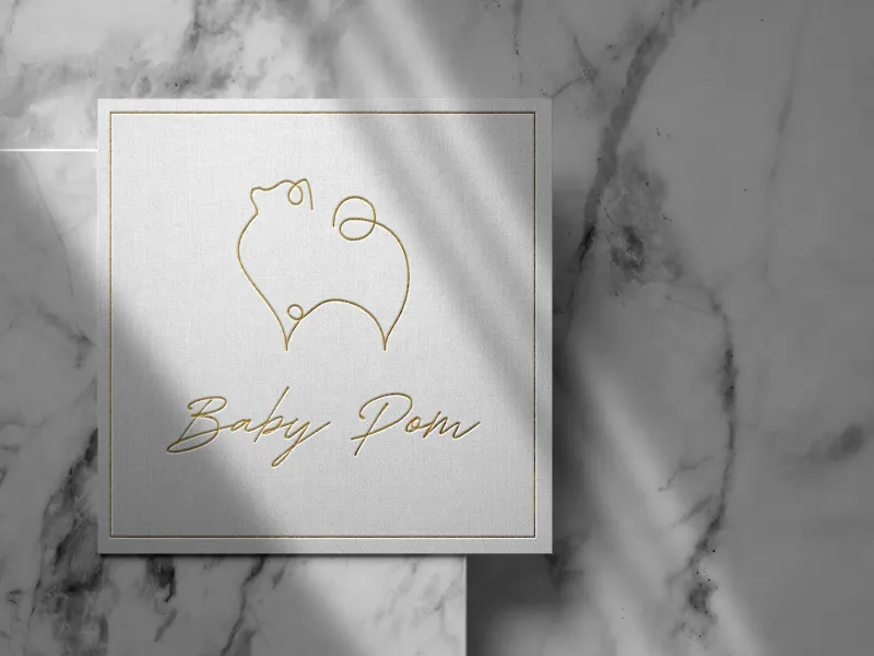 Branding portfolio work by DMS