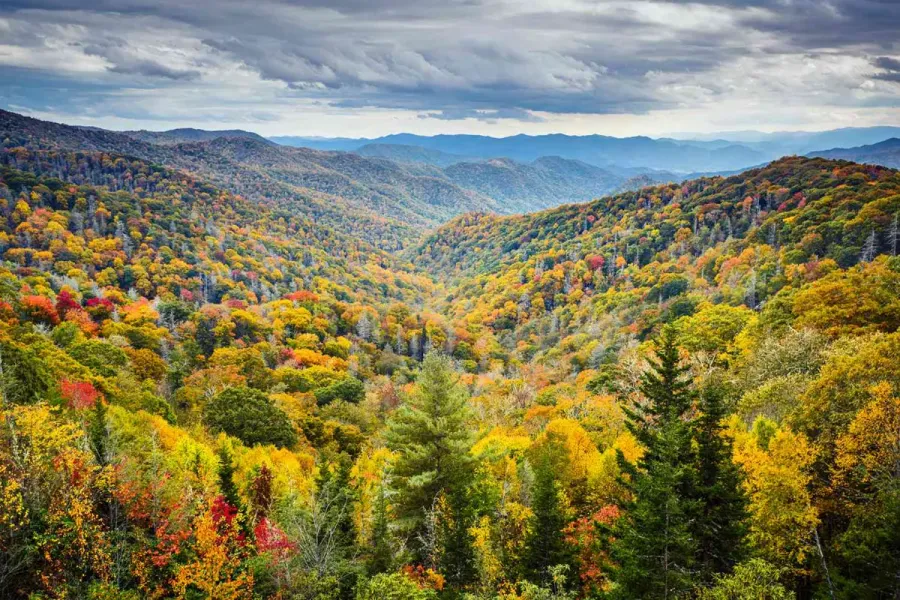 Tennessee Digital Marketing: A Three-Region Guide for Small Businesses