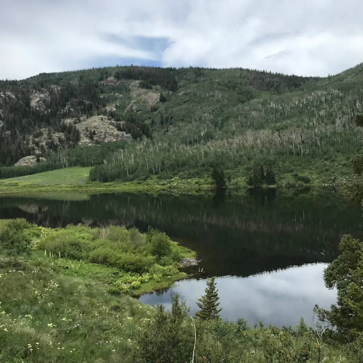 Digital marketing expertise in Westminster